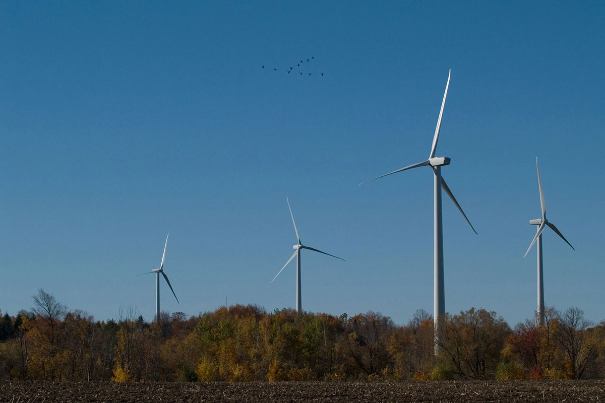 Three wind turbines in a field with trees